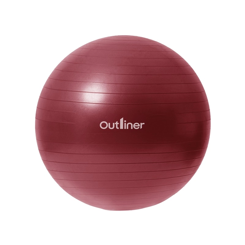 ANTIBURST GYM BALL PVC LS3222-55CM 15087799