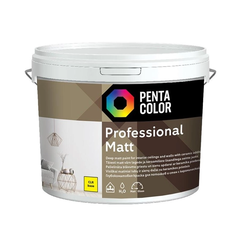 DISPERSION PAINT PROFESSIONAL MAT (CL 141