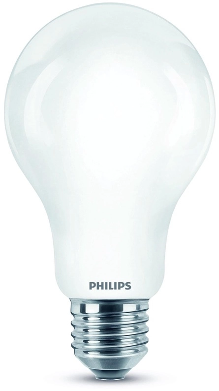 LED CLASSIC 120W A67 E27 WW