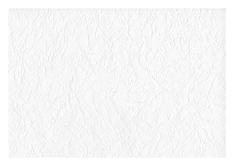 WALLPAPER PAINT. 696200 1 06X25M (