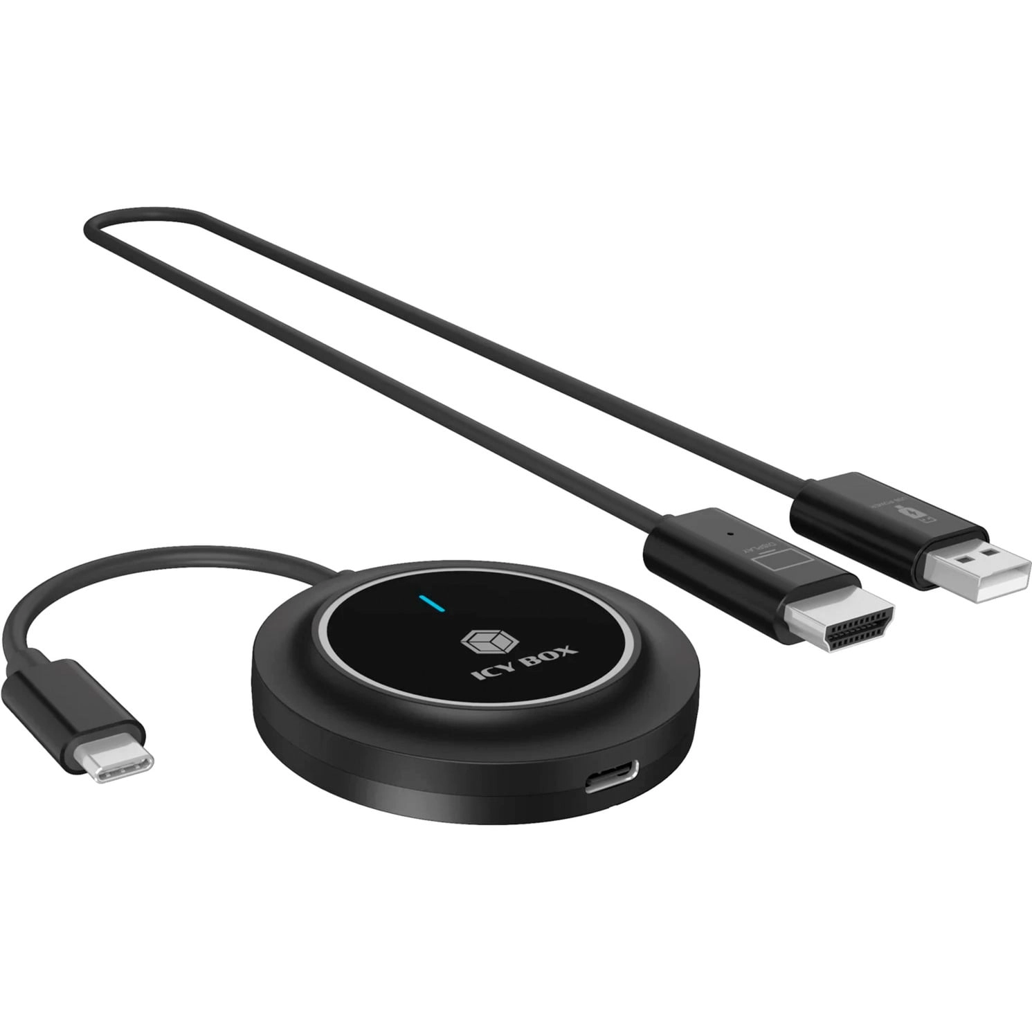 ICY BOX IB-WL101 (100W power 30m