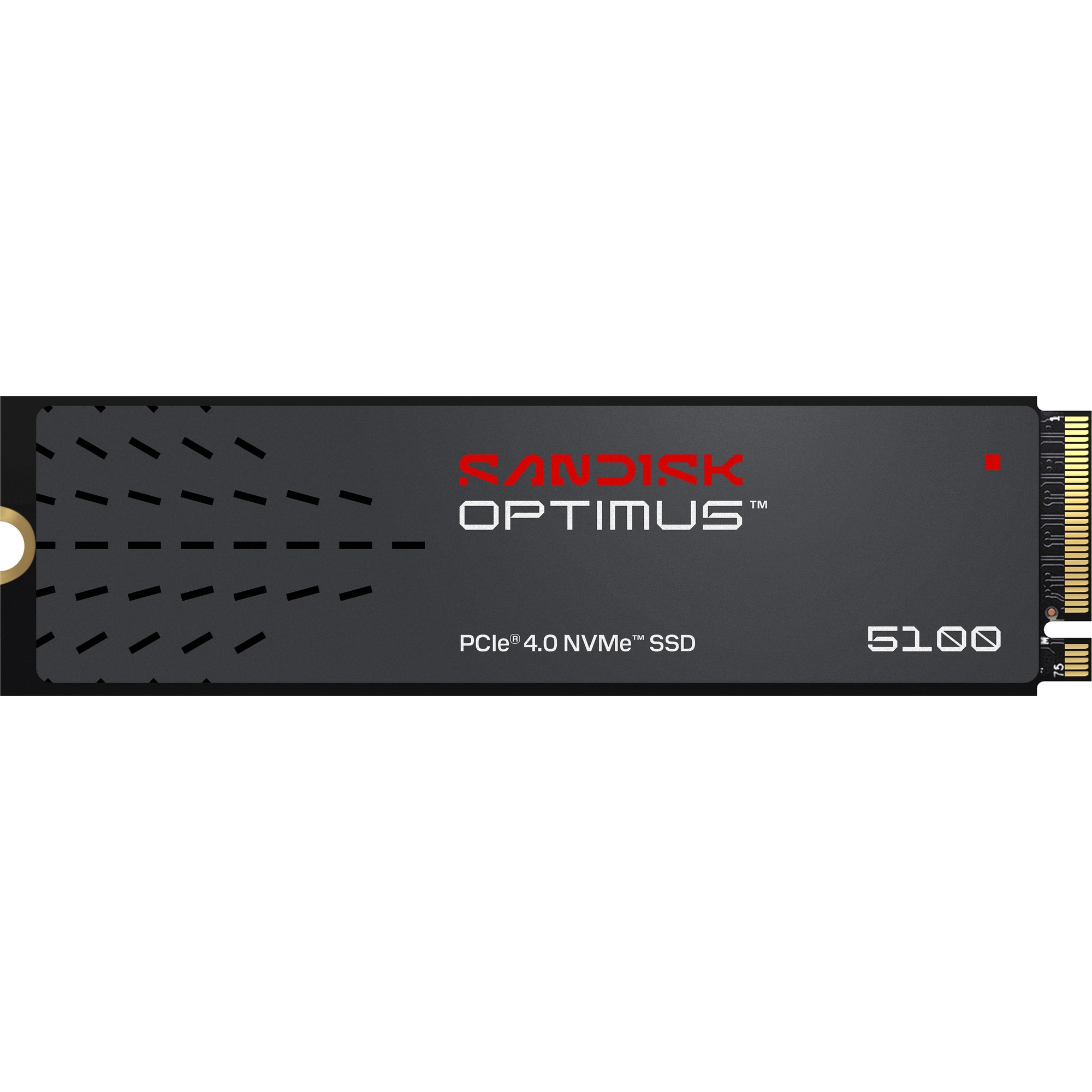 SSDSANDISK300xTBW ratingMTBF 1750000 hRead speed 6600