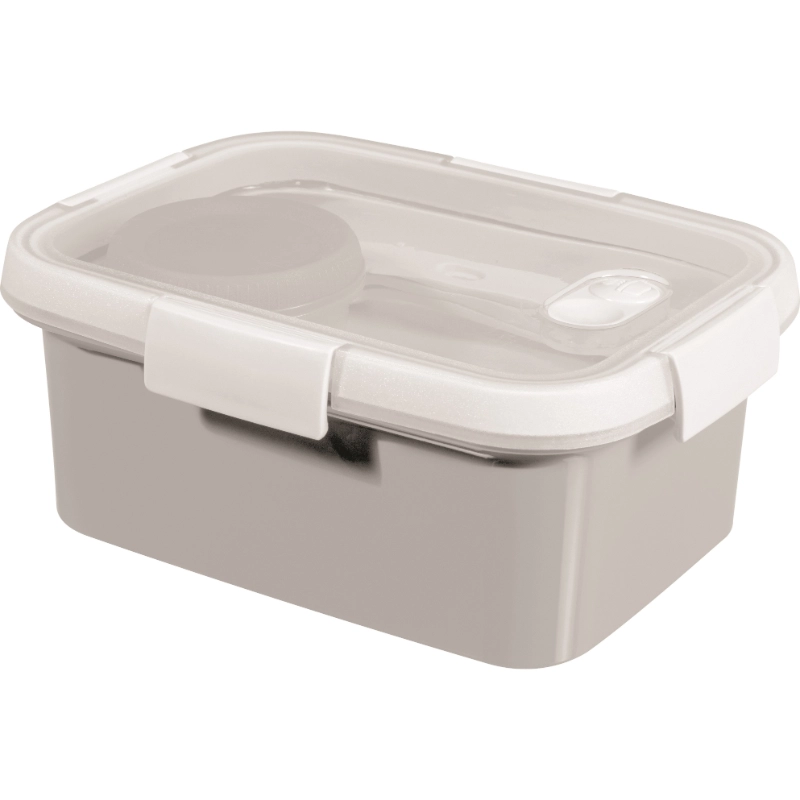 Food bowl Lunch Kit rectangle 1