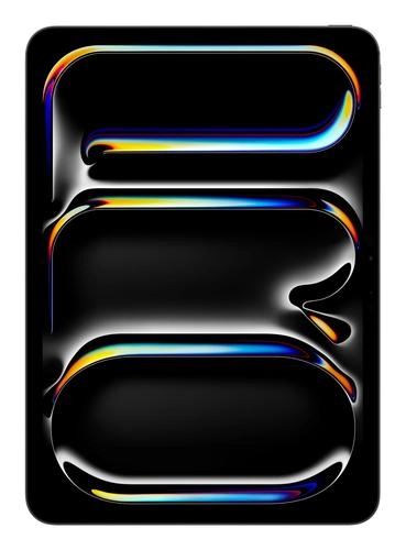 Apple iPad Pro 11" (256 GB)