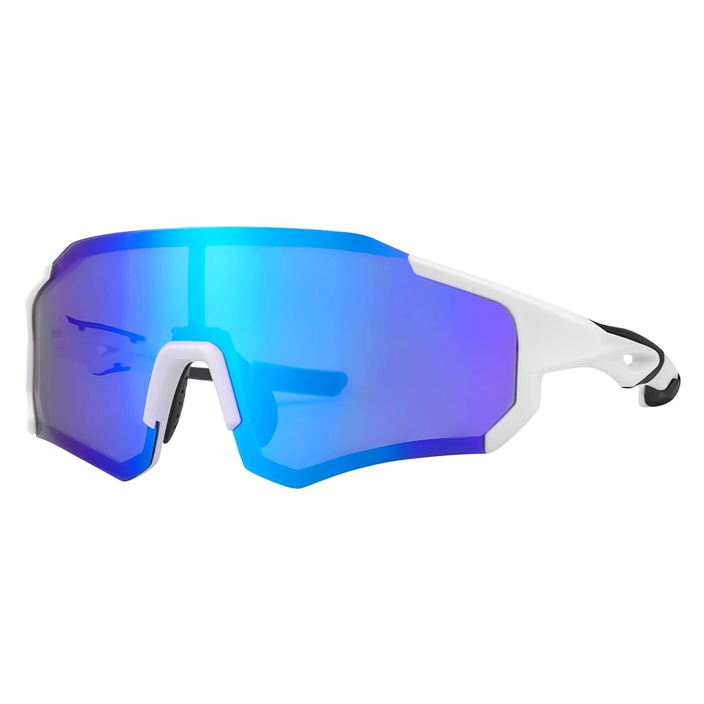 Rockbros 10183 polarizing cycling glasses -