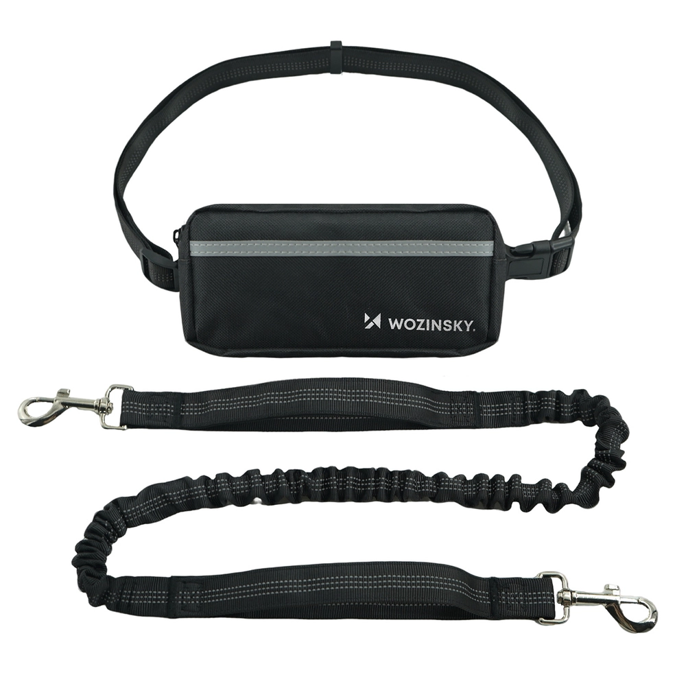 Waist belt with a pouch and