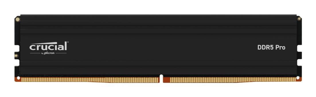 MEMORY DIMM PRO 24GB DDR5-5600/CP24G56C46U5 CRUCIAL