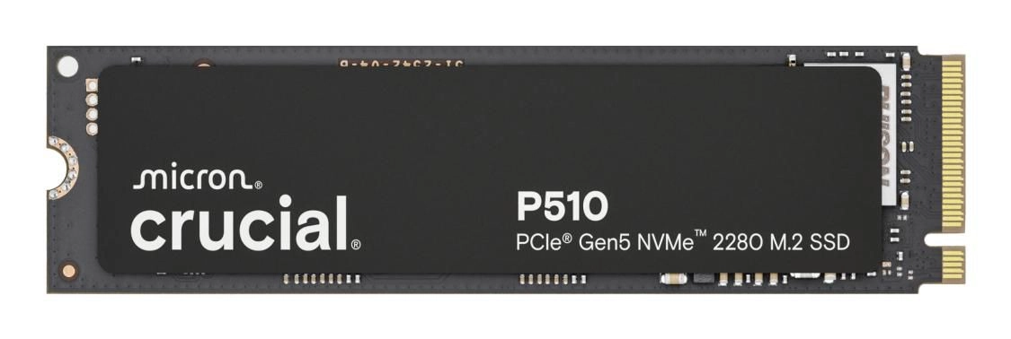 P510 1TB M.2 CT1000P510SSD8