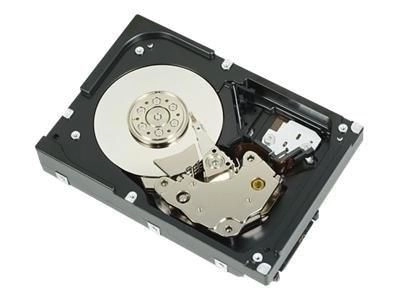 HDD  146 GB  SAS 1DKVF-RFB 5711045665554