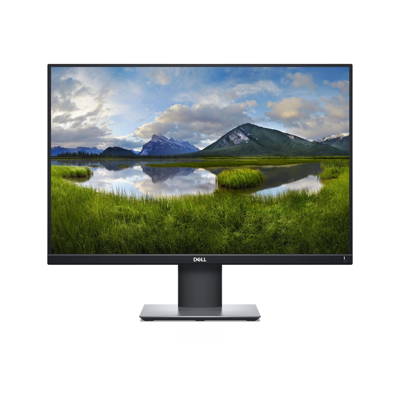 DELL P Series P2421  61.2