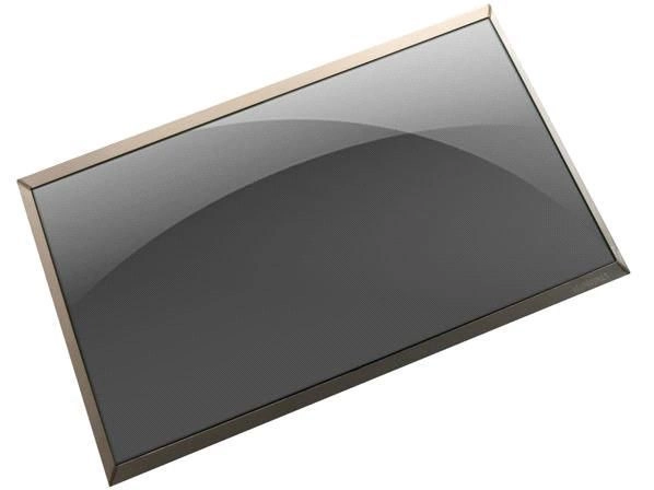 Dell LCD  Non Touch Screen  14