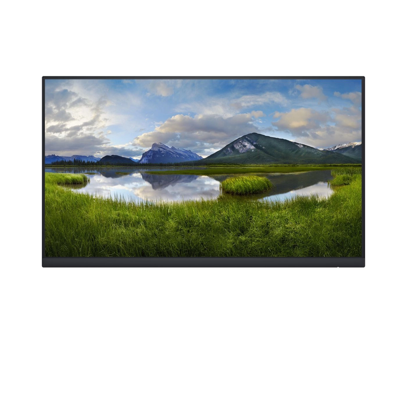 60.45cm/23.8```````` (1920x1080) DELL-P2422HWOS no