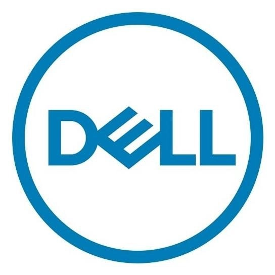 DELL 461-AAEN trusted platform module (TPM)