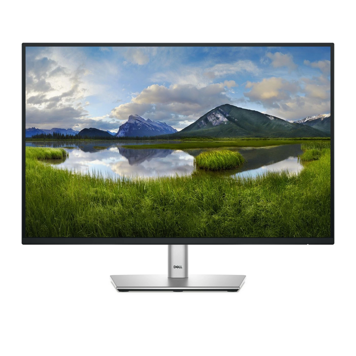 DELL Pro Plus P2425E computer monitor