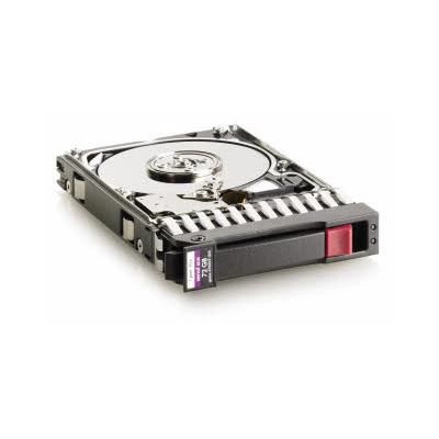 72GB 10K SAS DP HDD 2