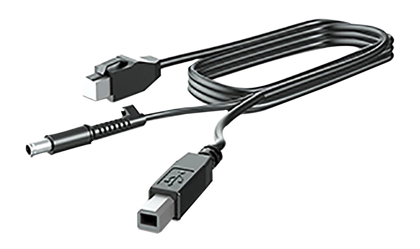 300CM DP+USB PWR CABLE V4P95AA 889894983435
