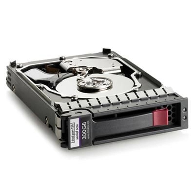 Dual Port HDD 300 GB hotswap