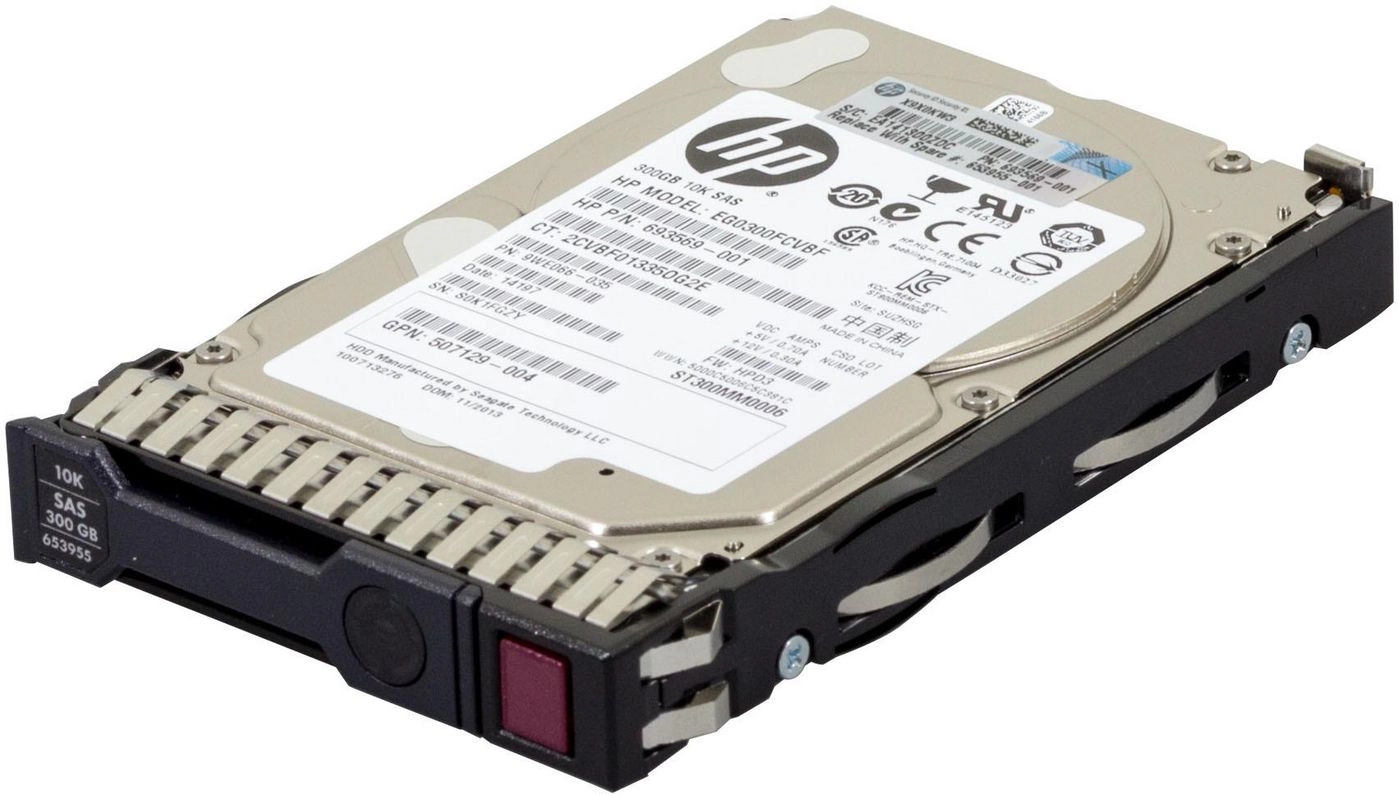 300 Gb SAS 10.000Rpm 2