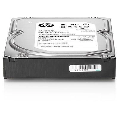 300GB 6G SAS 10K SFF SP