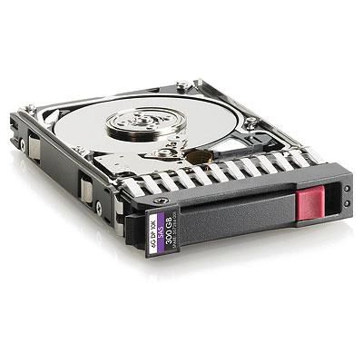 HDD 300GB 6G SAS RP001230046 5711783712022