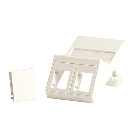 Lanview Wall plate  angled  for 2