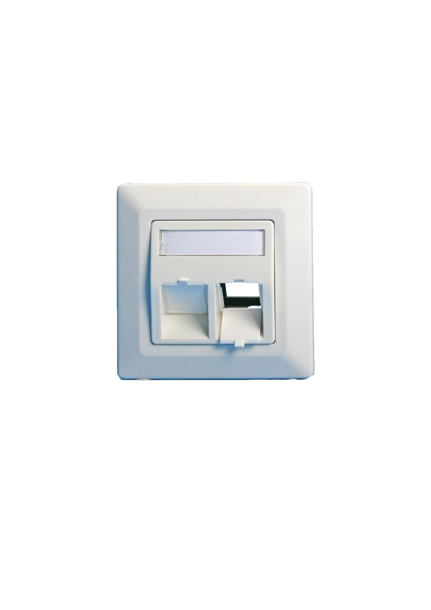 Lanview Wall plate angled 2 x
