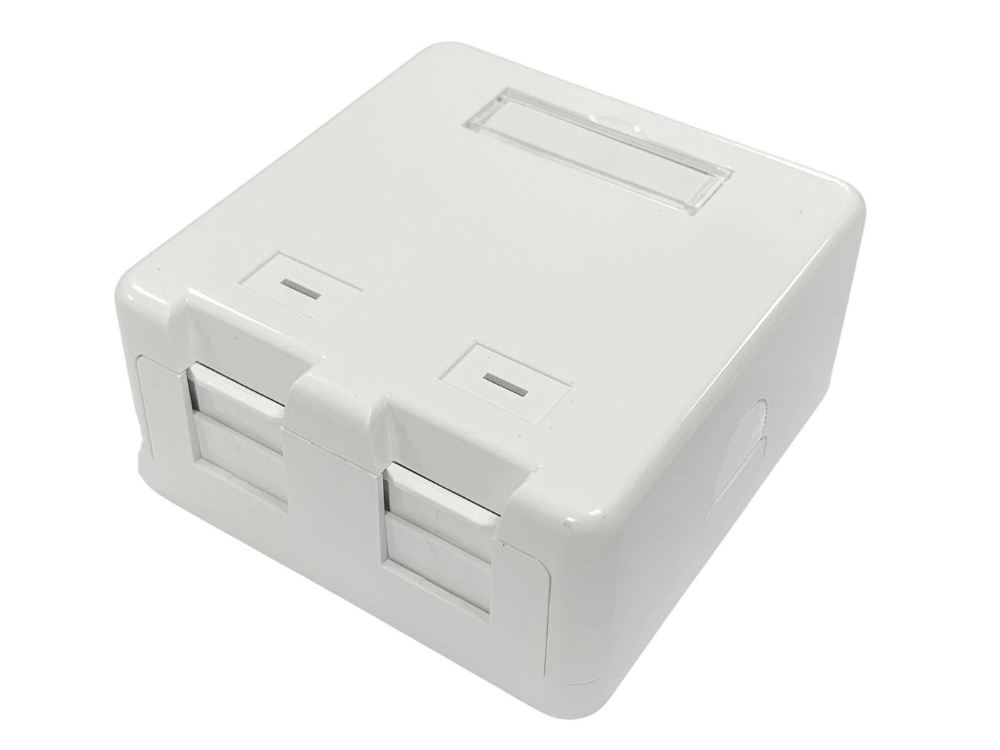 Lanview Surface mount box for 2
