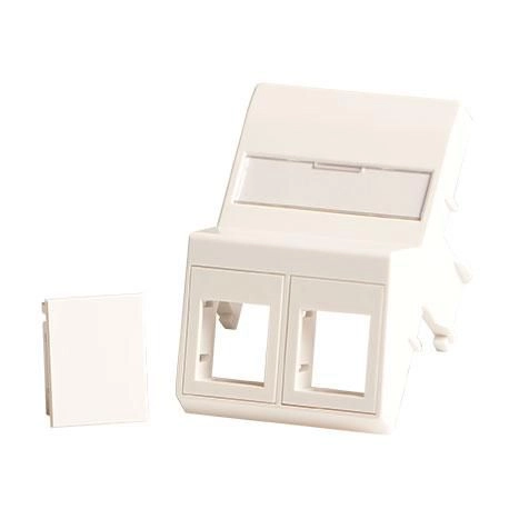 Lanview Wall plate  angled  2 x