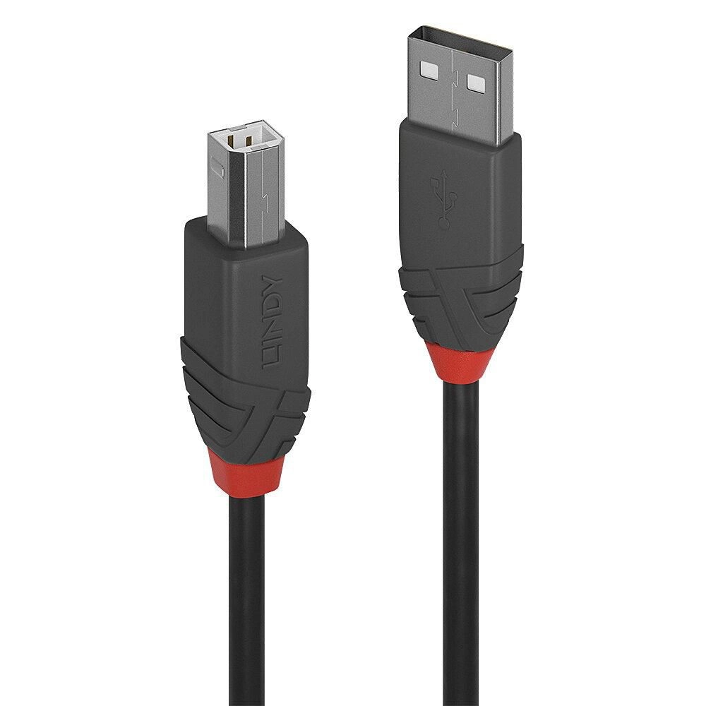 LINDY USB 2.0 Kabel Typ