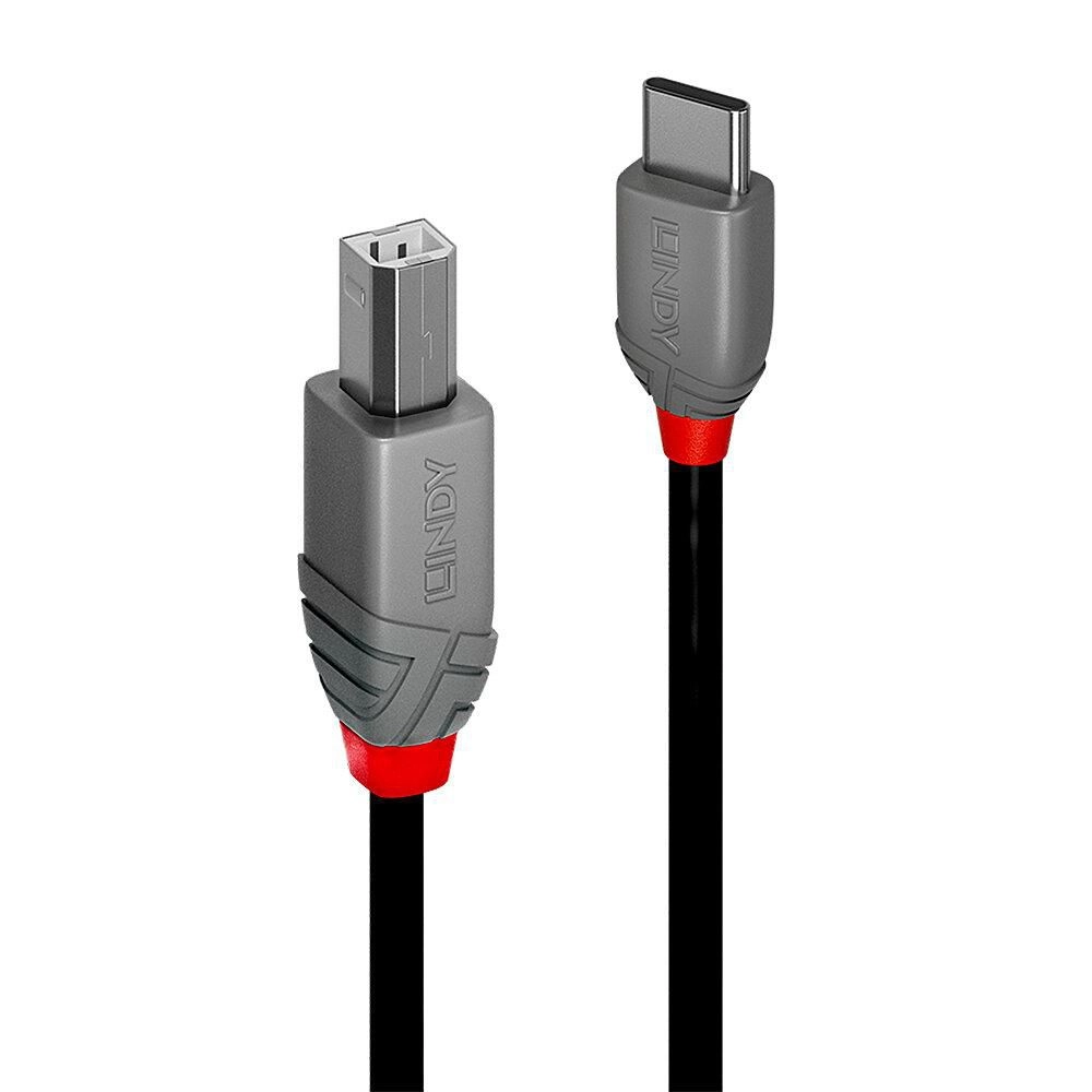 LINDY 1m USB 2.0 Typ
