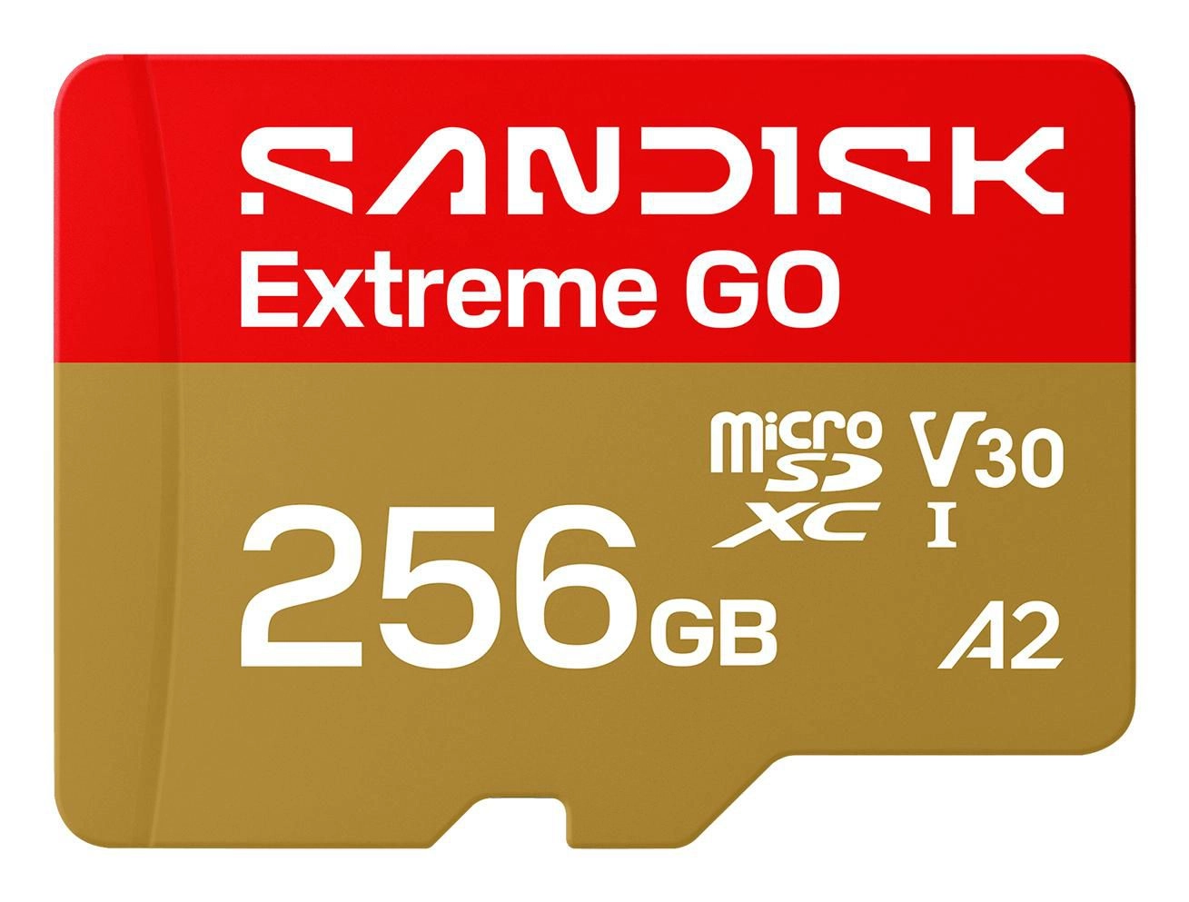 SanDisk Extreme Go - Flash-Speicherkarte -