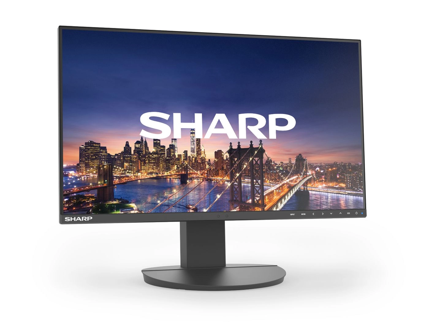 DD-EA242F BLACK 24IN IPS 1920 X