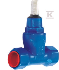 THREADED WATER GATE ZG2 DN20 GJS
