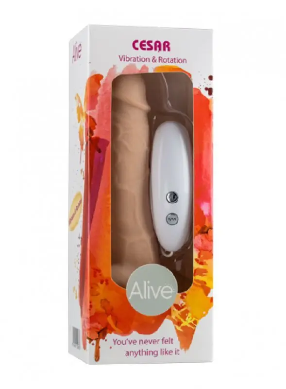 Vibrator with vibration rotation remote control