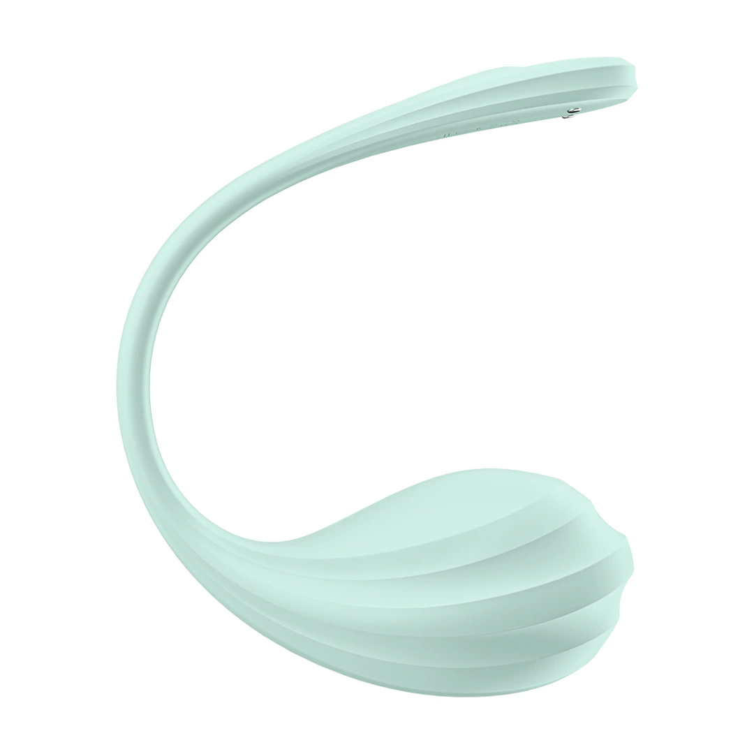 Satisfyer Smooth Petal Connect App Wearable