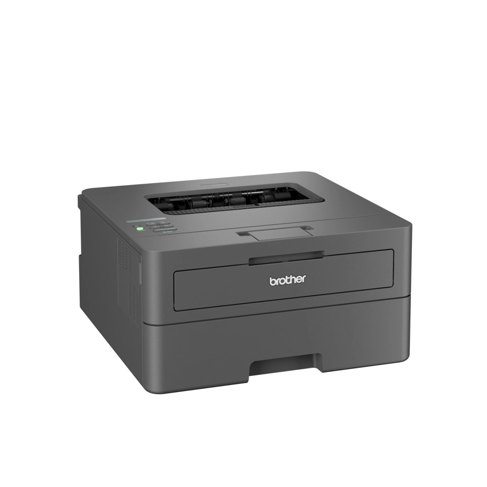Brother HL-L2445DW wireless laser printer 1780291