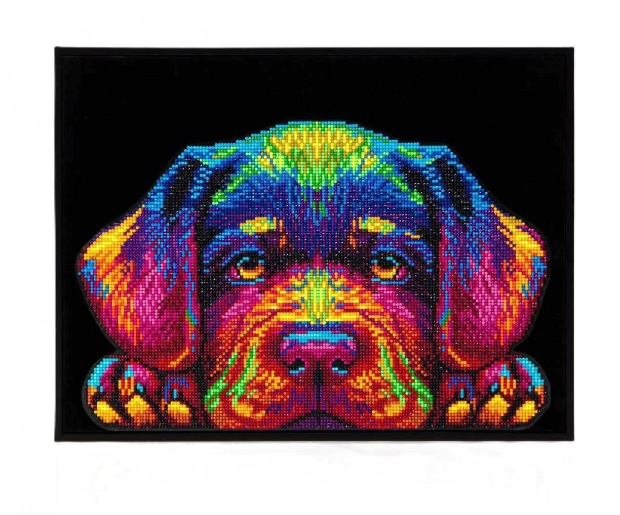 Diamond Dotz - Adults Neon Puppy