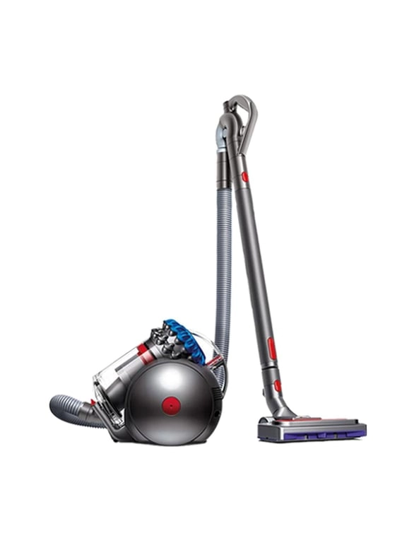 Dyson Big Ball Absolute 2 srebrny