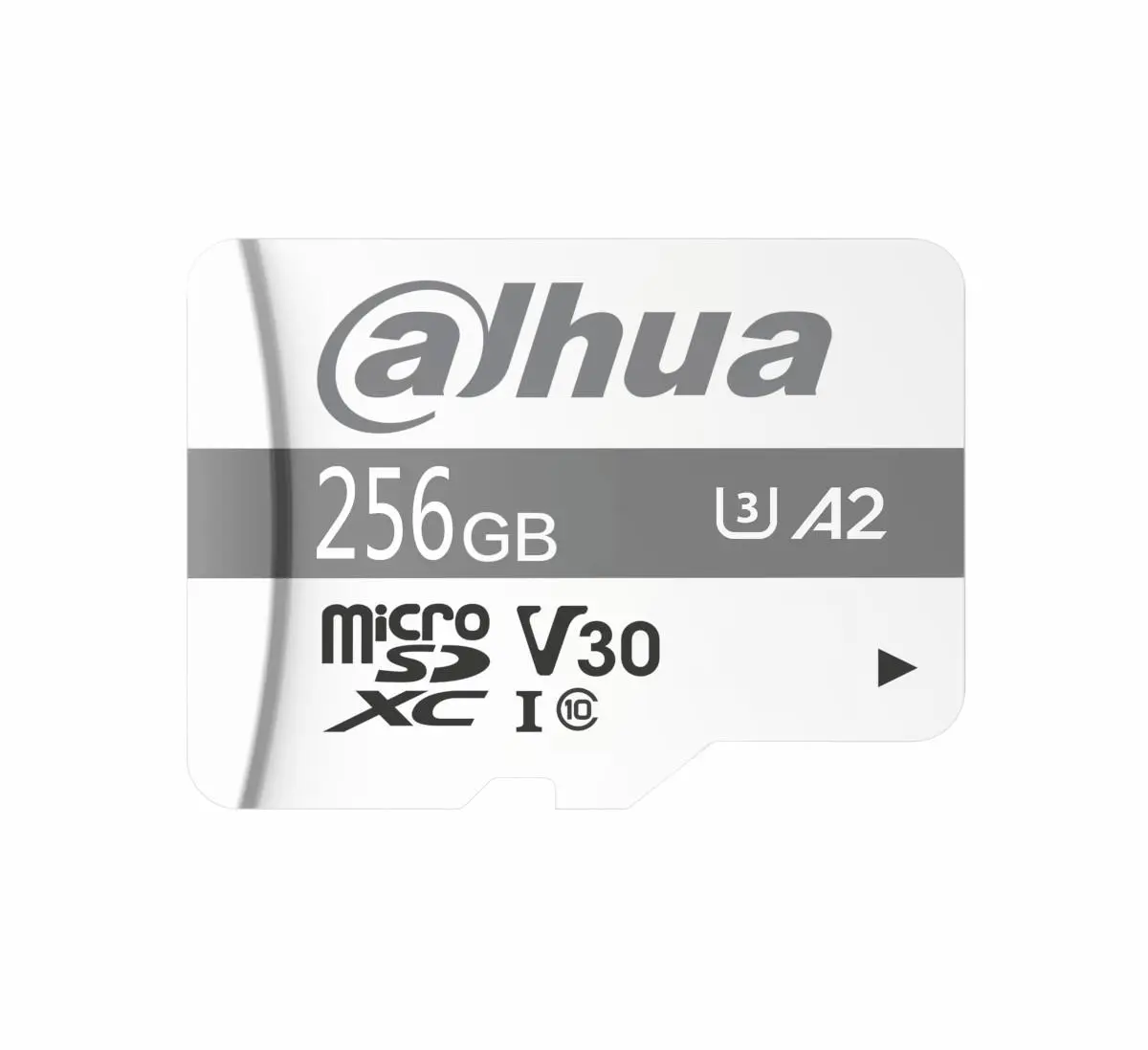 Karta Dahua Technology TF-P100 MicroSDXC 256