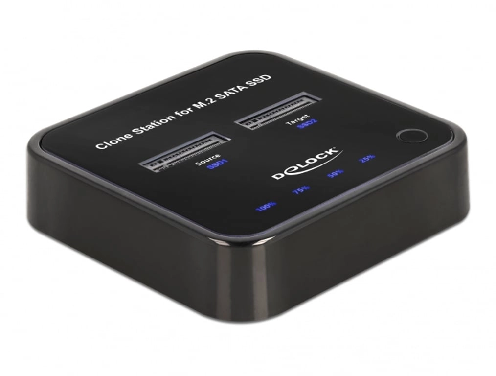 DeLOCK M.2 Docking Station for