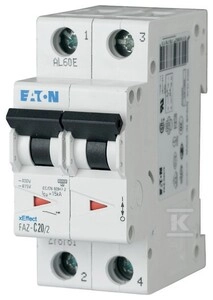 Power switch 2P D 20A 15kA