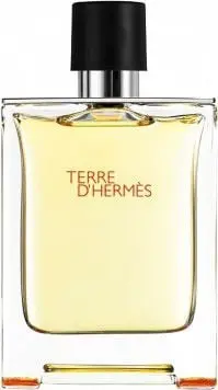 Hermes Terre D````Hermes Perfume EDT 200