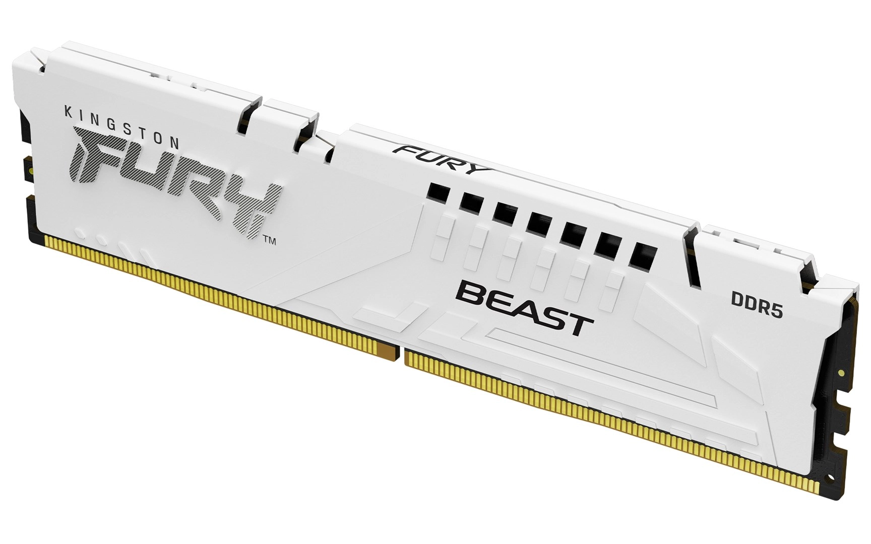 Kingston Technology FURY Beast 16GB 6400MT/s