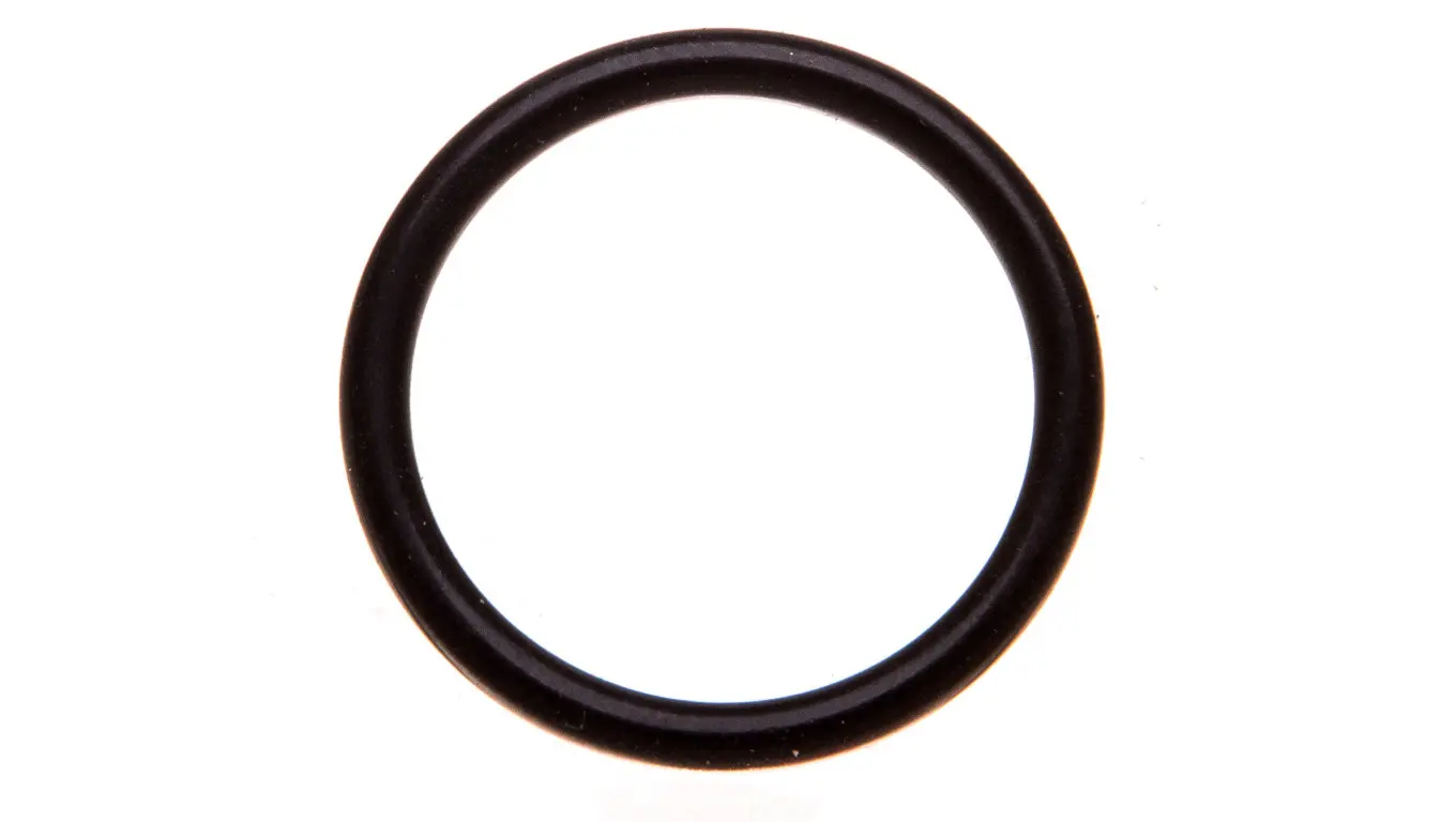 Gasket for M20 SKINDICHT O-Ring Perbunan