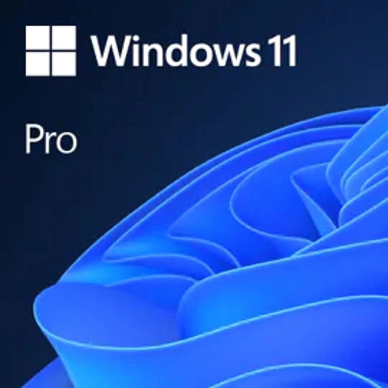 Microsoft MS ESD Windows Professional 11