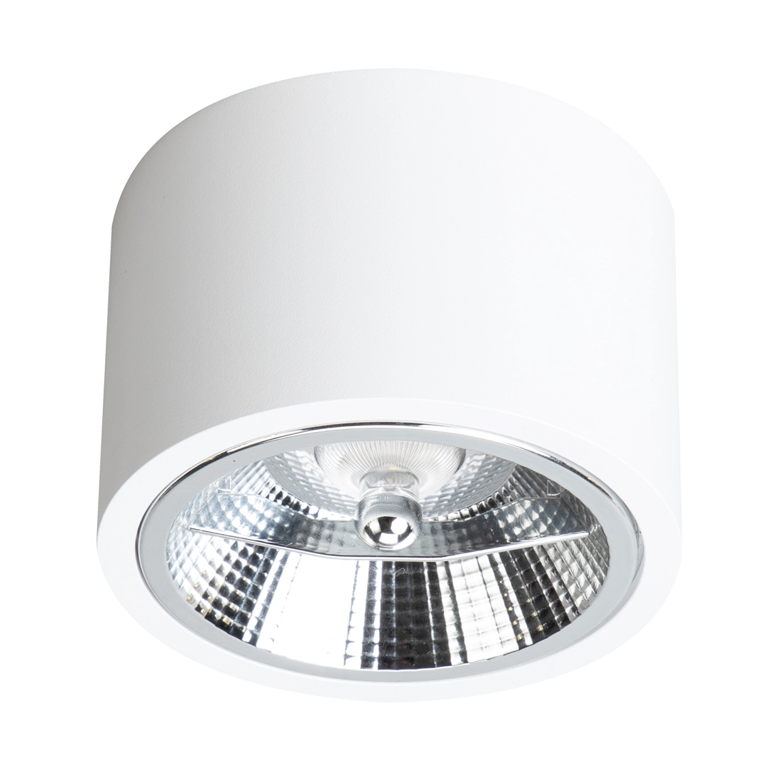 Surface-mounted luminaire Redondo White 1xAR111 GU10