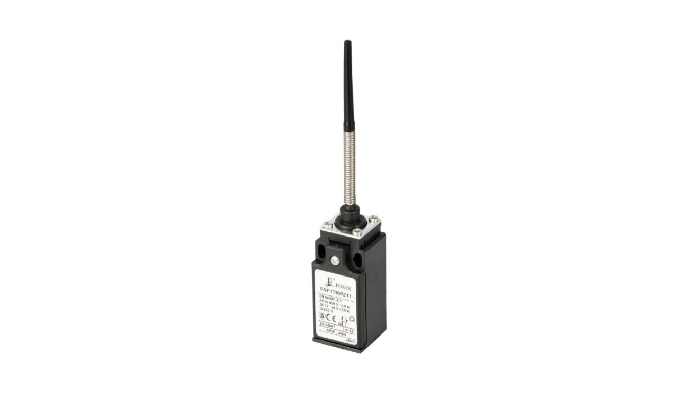 Limit Switch 2R Snap Action Stainless