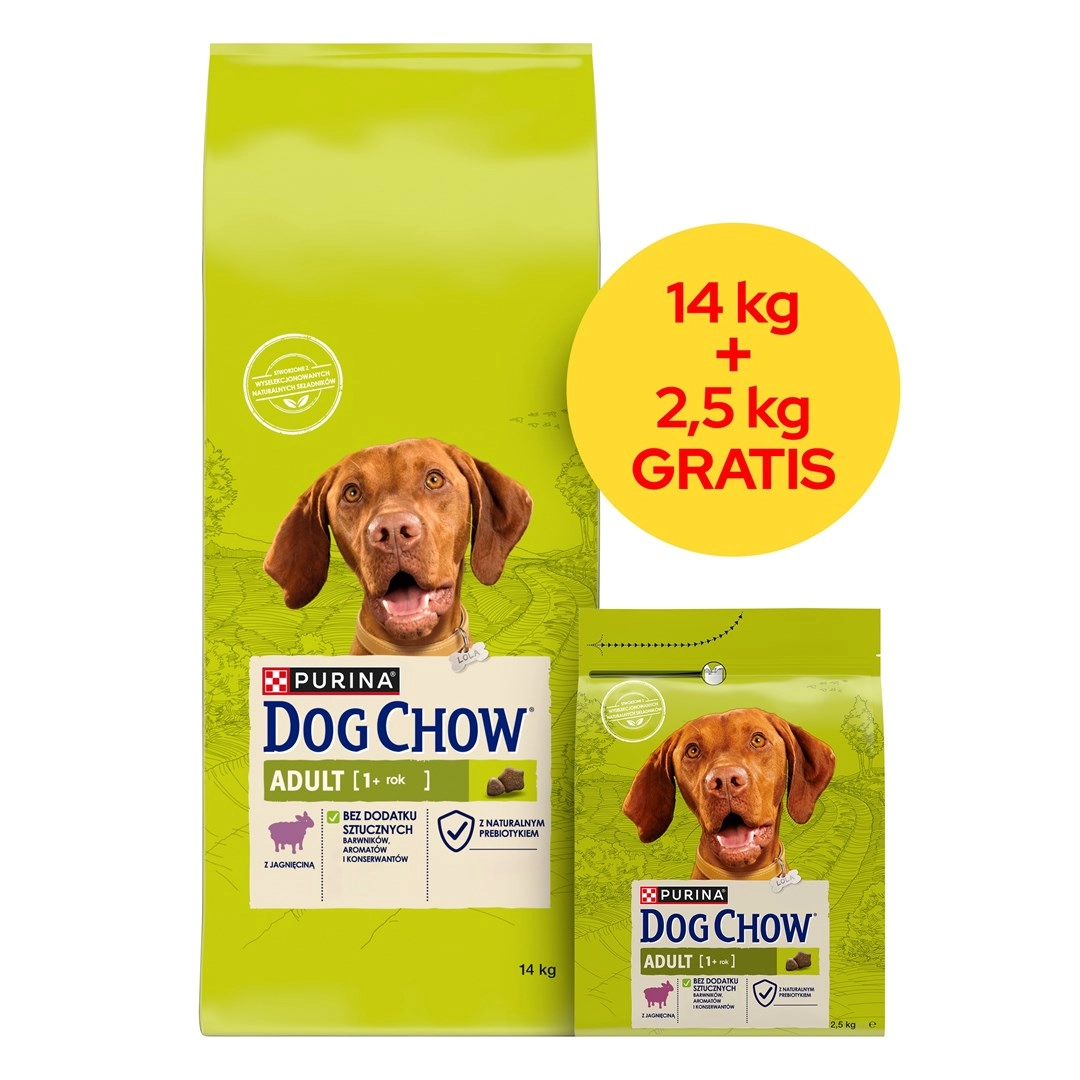 PURINA NESTLE PURINA DOG CHOW ADULT