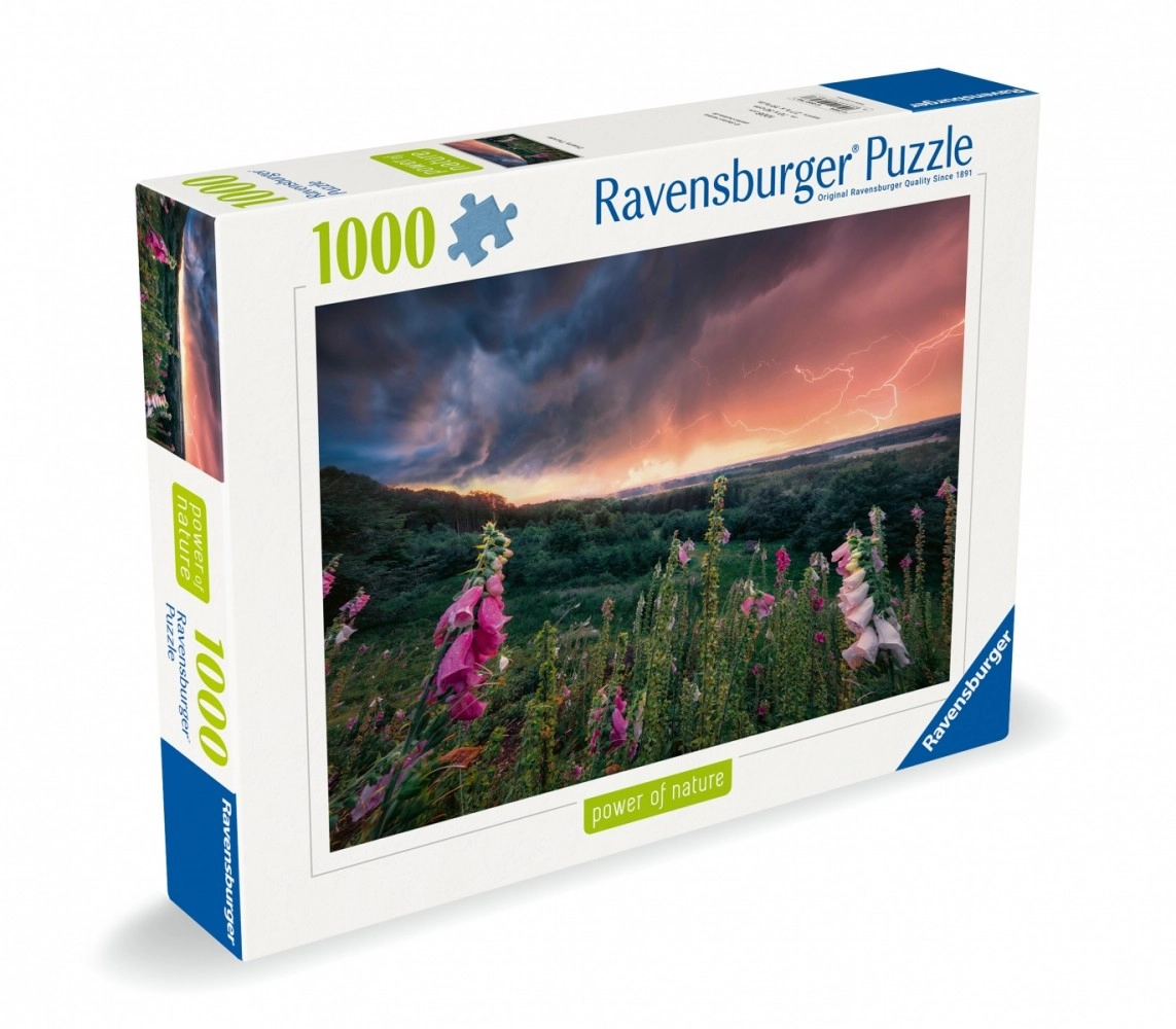 Ravensburger 12000793 Jigsaw puzzle 1000 pc(s)