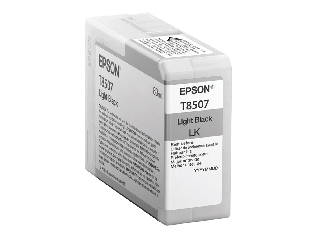 Epson Singlepack Light Black T850700 C13T850700
